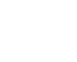 Master Dog